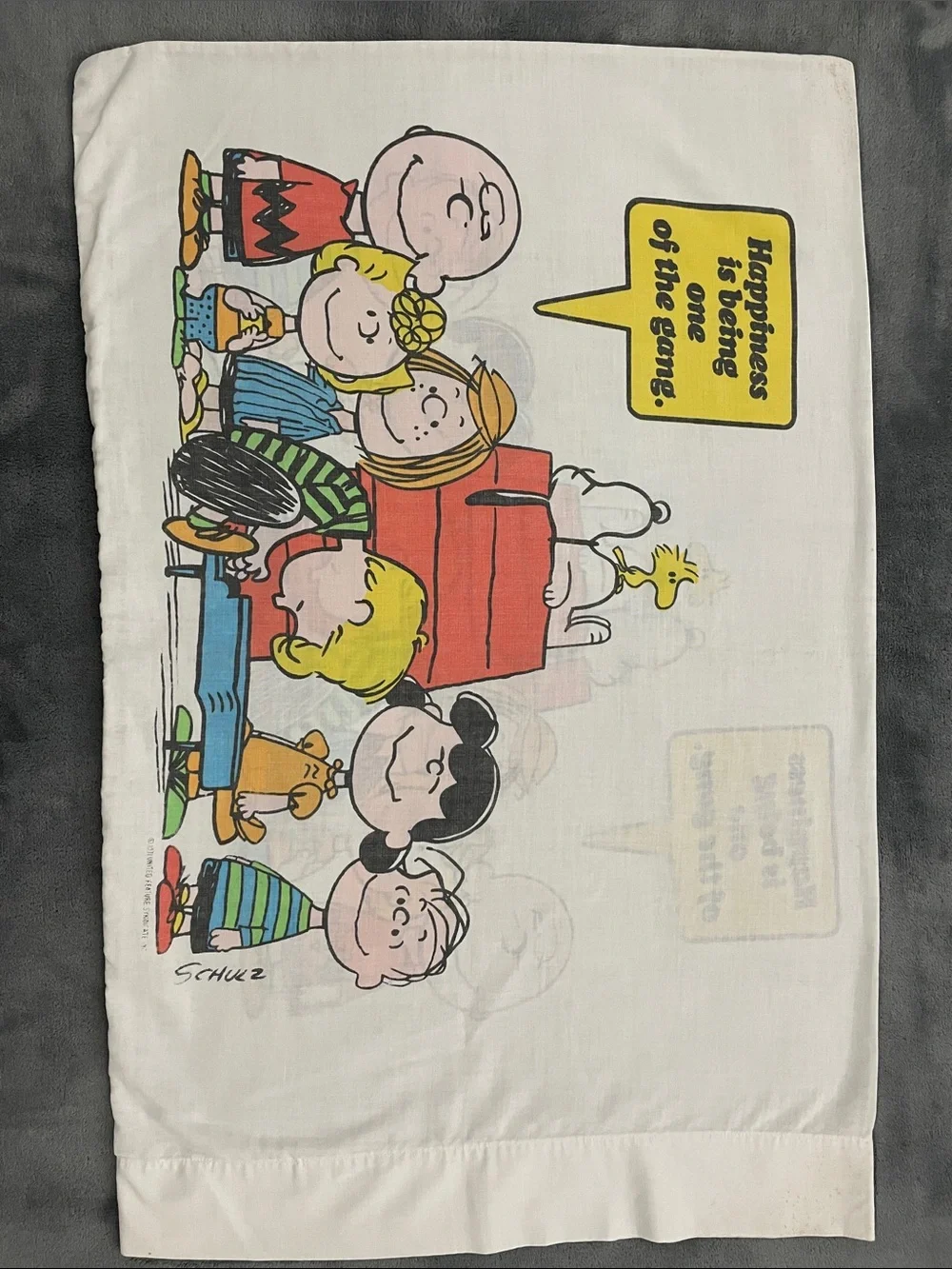 Vintage 1970s Peanuts Charlie Brown pillowcase